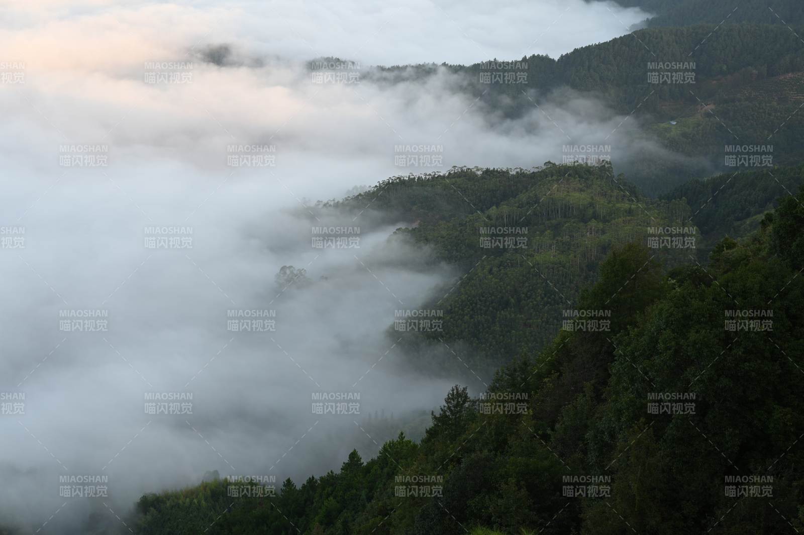 福建永泰仙妈殿云海图片