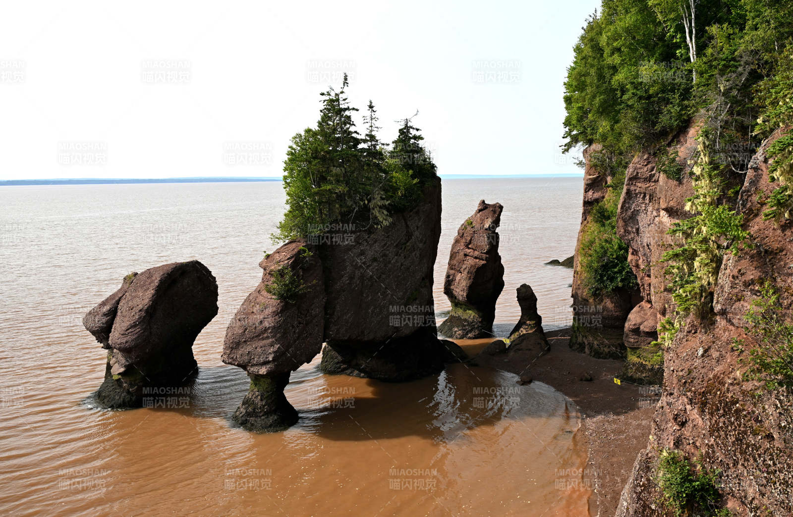加拿大芬迪湾的花盆岩图片