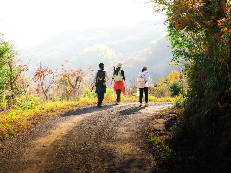 秋日山径三人行图片