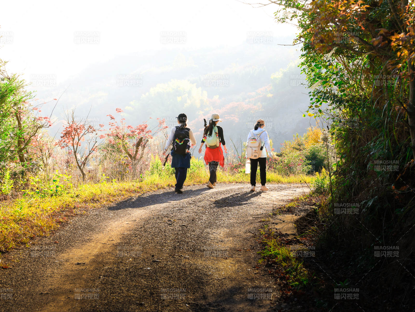 秋日山径三人行图片