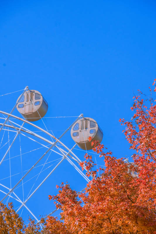 秋日摩天轮图片