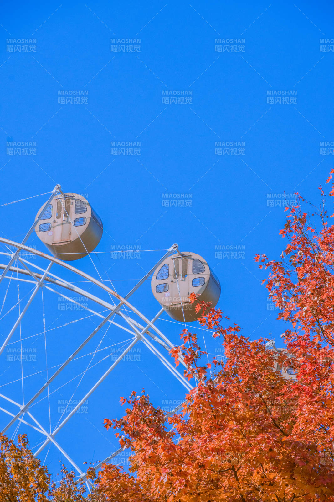 秋日摩天轮图片
