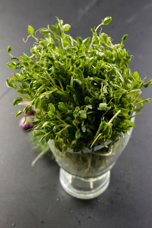 火锅涮品手撕包菜图片