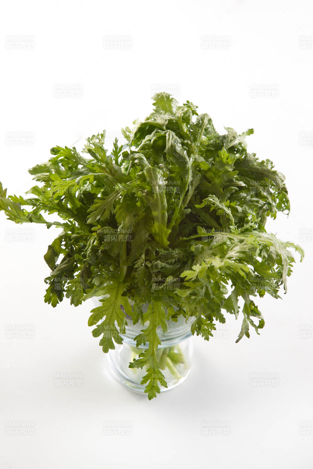 火锅食材新鲜茼蒿图片