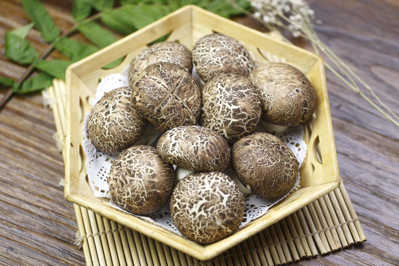 仿真杂粮香菇包图片