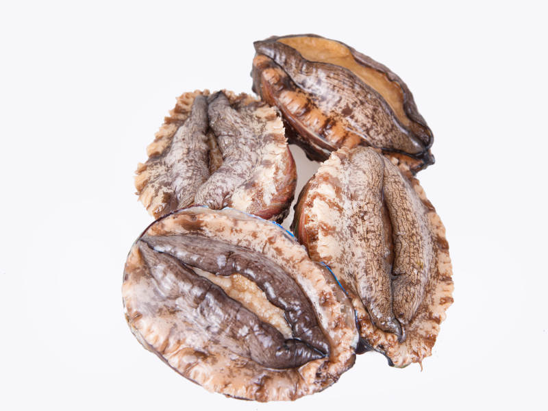 八头活鲍鱼图片