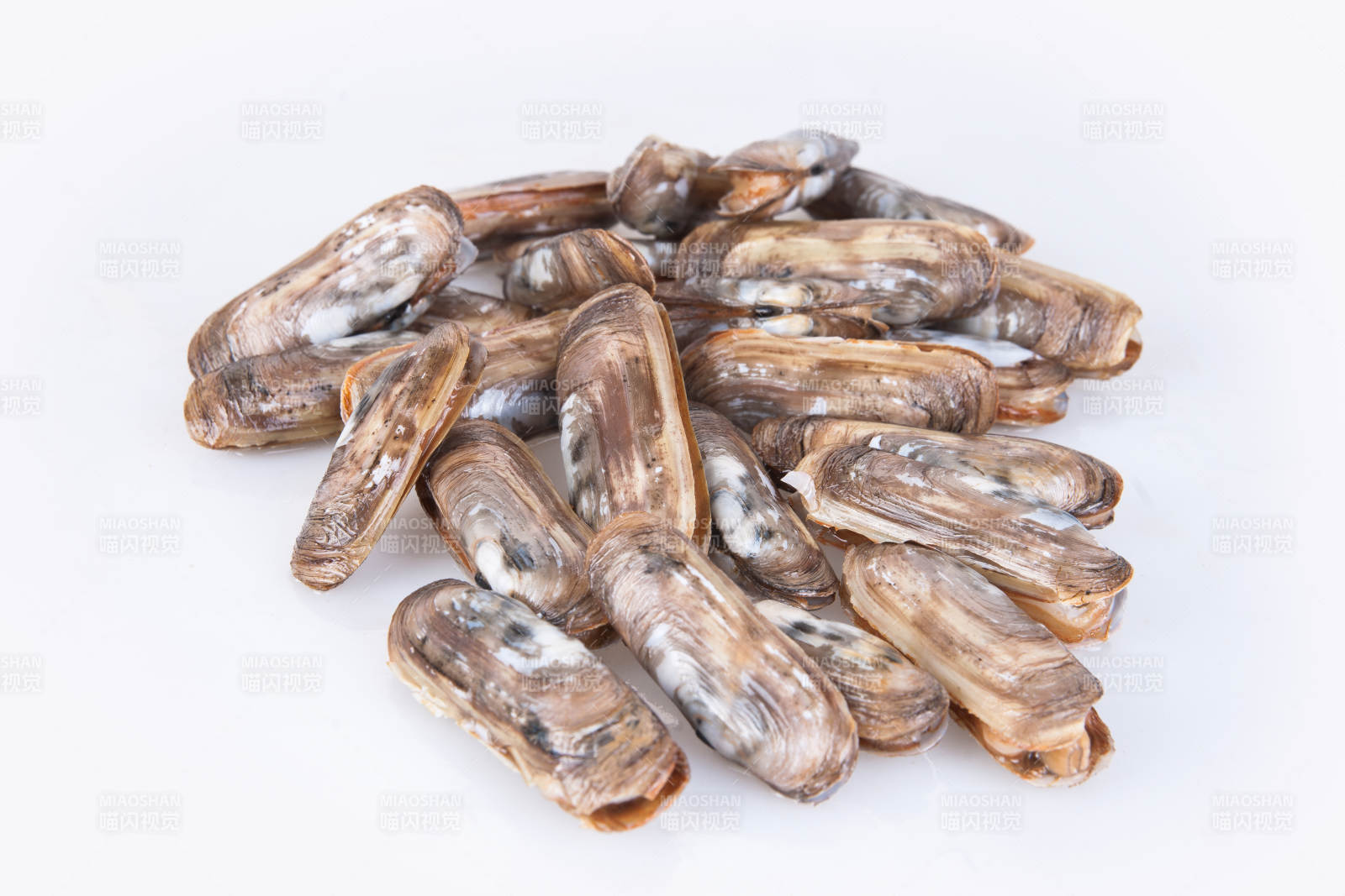 生鲜鲜活蛏王图片