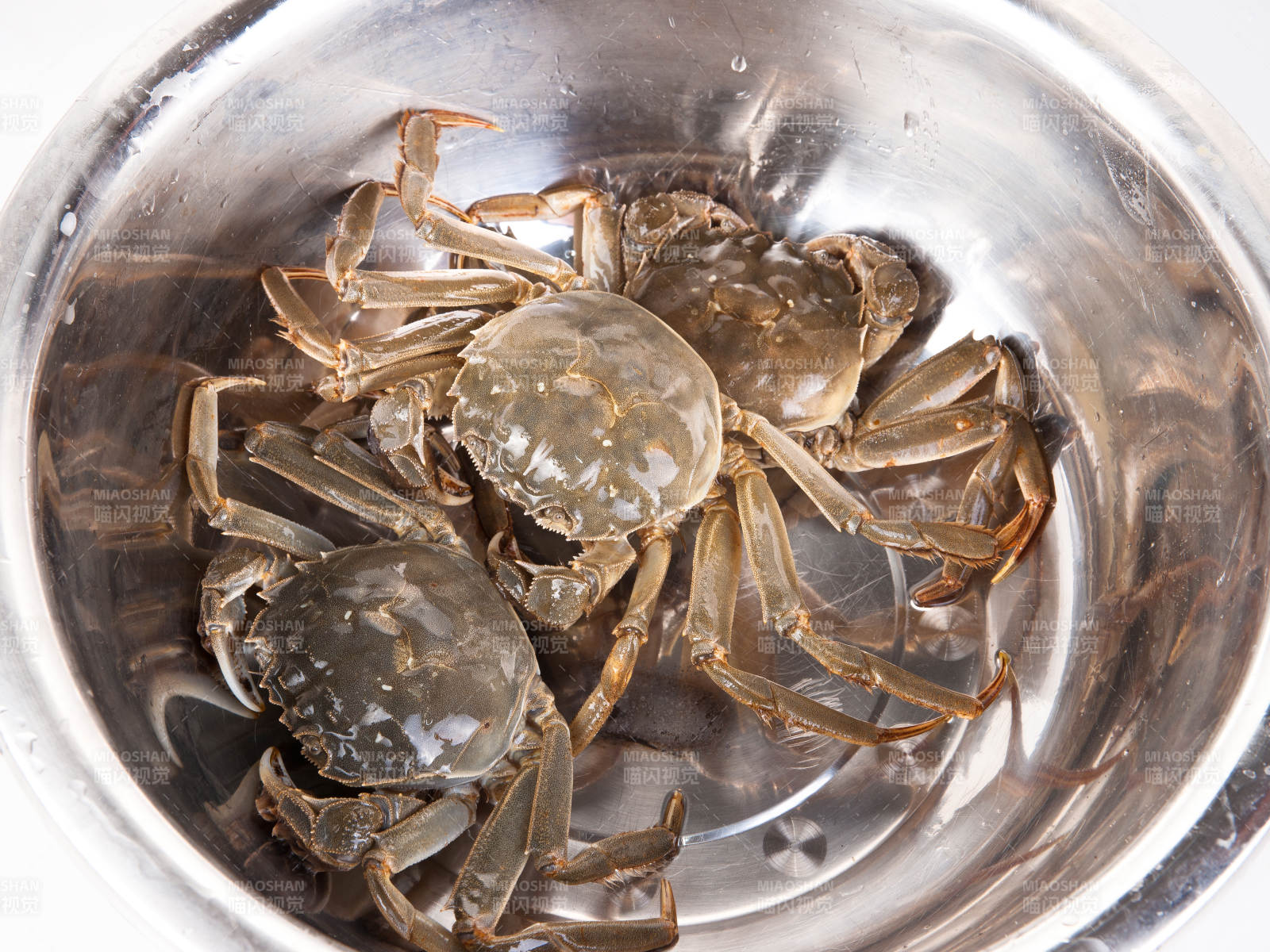 生猛活大闸蟹图片