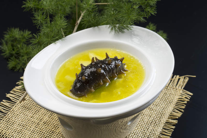 金汤薏米辽参图片