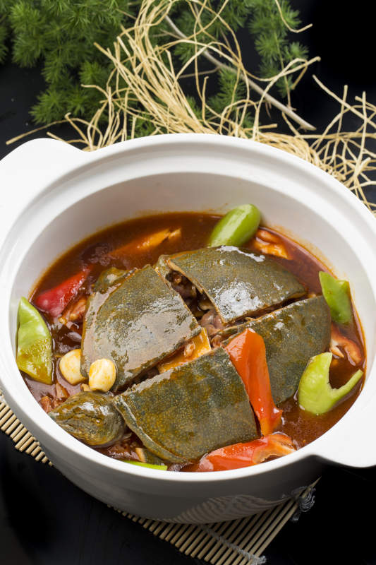 砂锅红煨甲鱼鳖王八图片