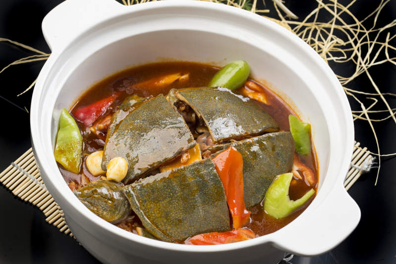 砂锅红煨甲鱼鳖王八图片