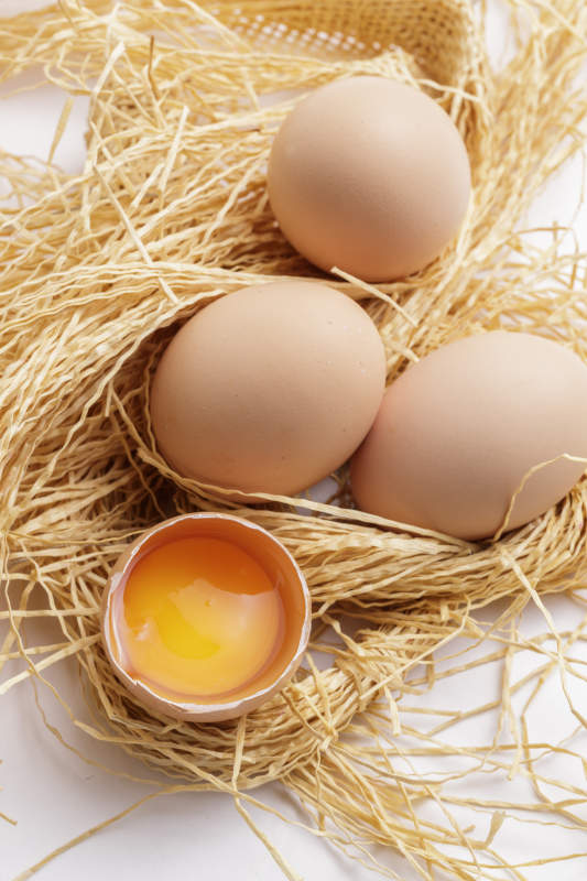 被草团拥抱的营养丰富味道鲜美的油鸡蛋图片