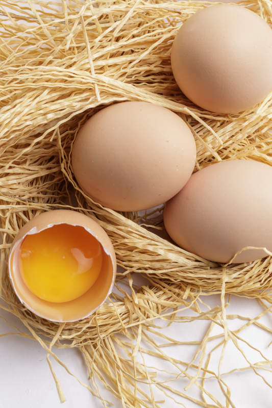 被草团拥抱的营养丰富味道鲜美的油鸡蛋图片