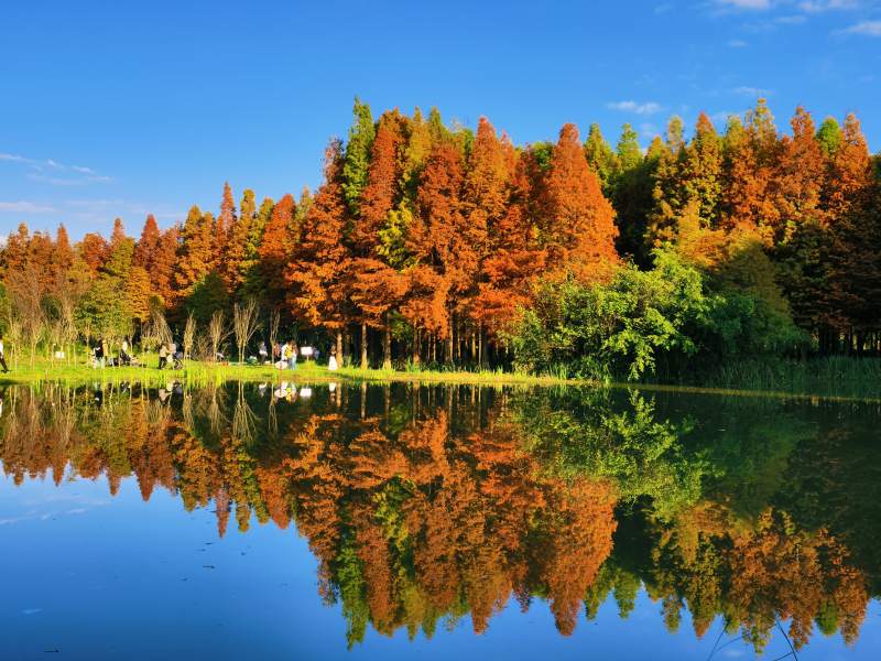 海洪湿地公园图片