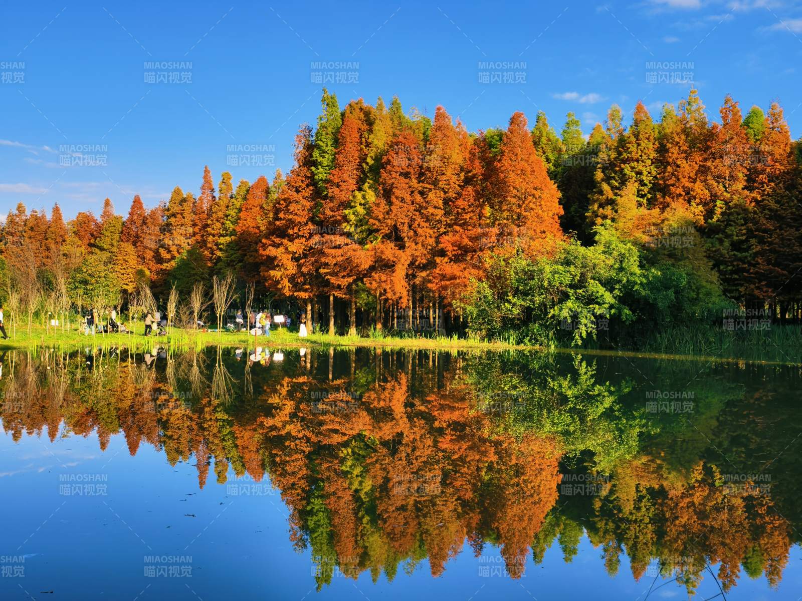 海洪湿地公园图片