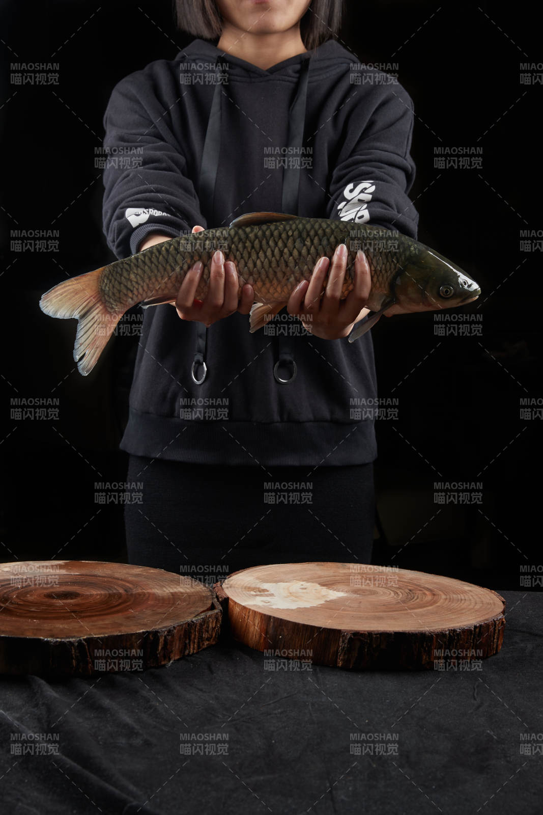 黑色背景被双手捧着的野生大鲤鱼图片