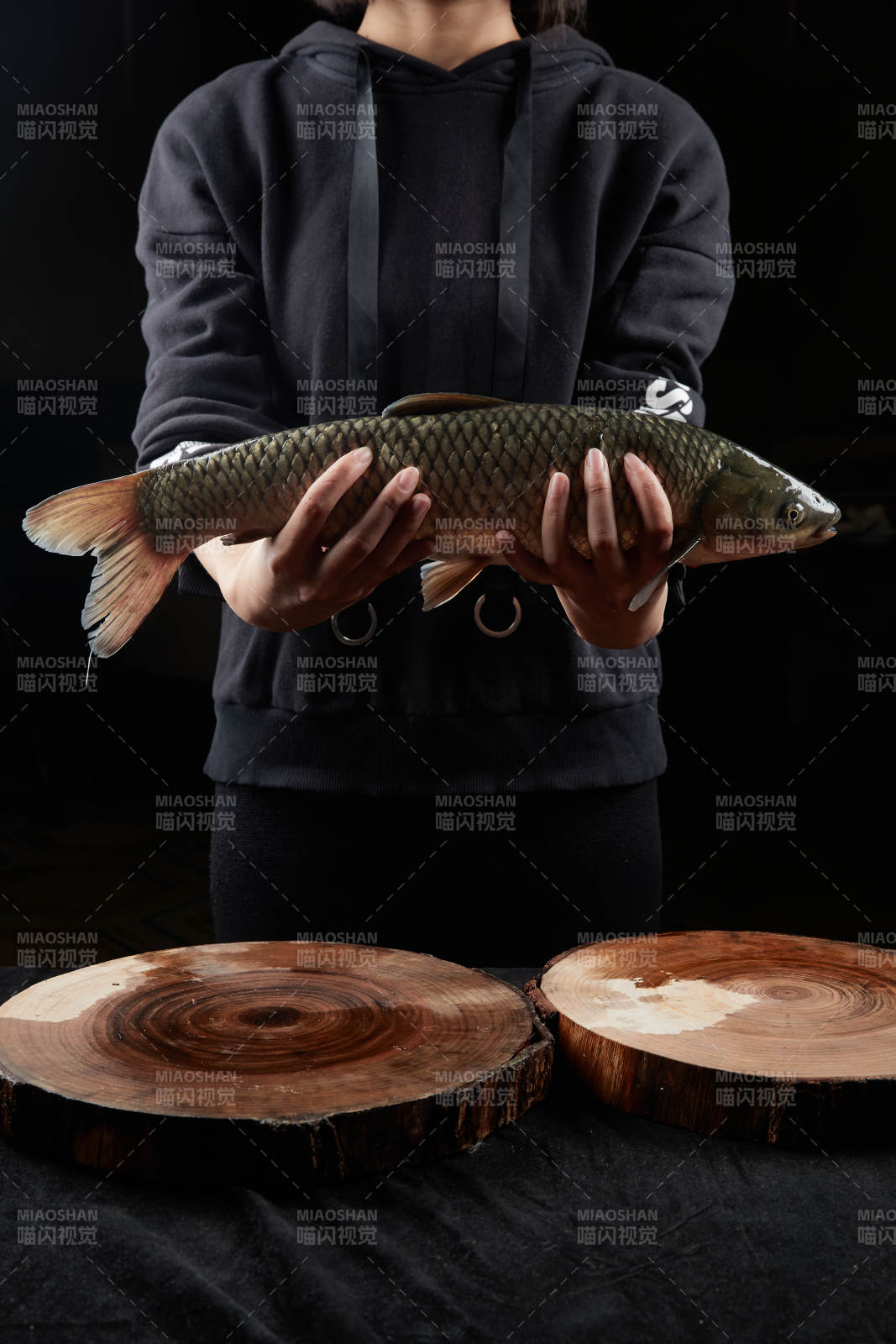 黑色背景被双手捧着的野生大鲤鱼图片