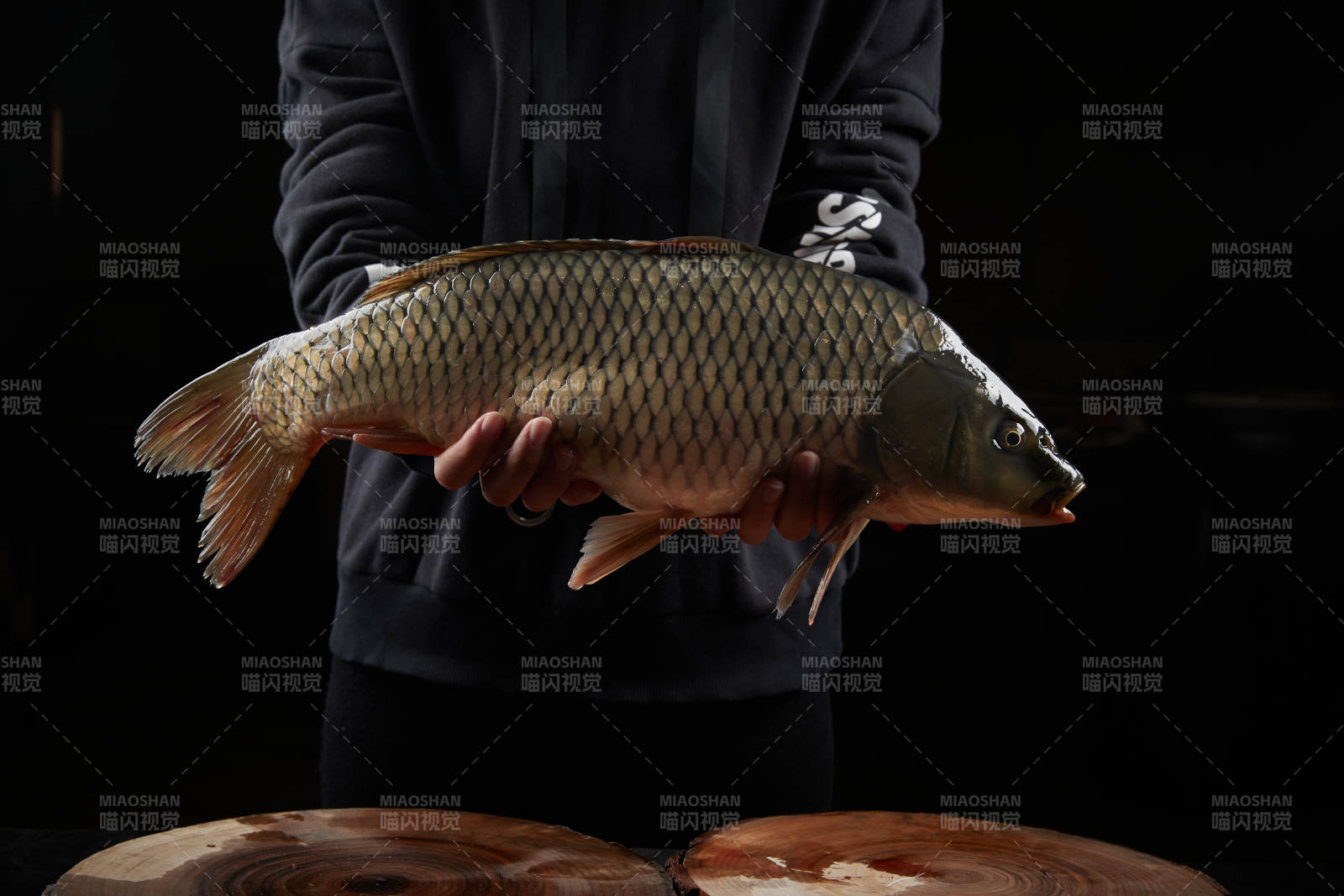 黑色背景被双手捧着的野生大鲤鱼图片