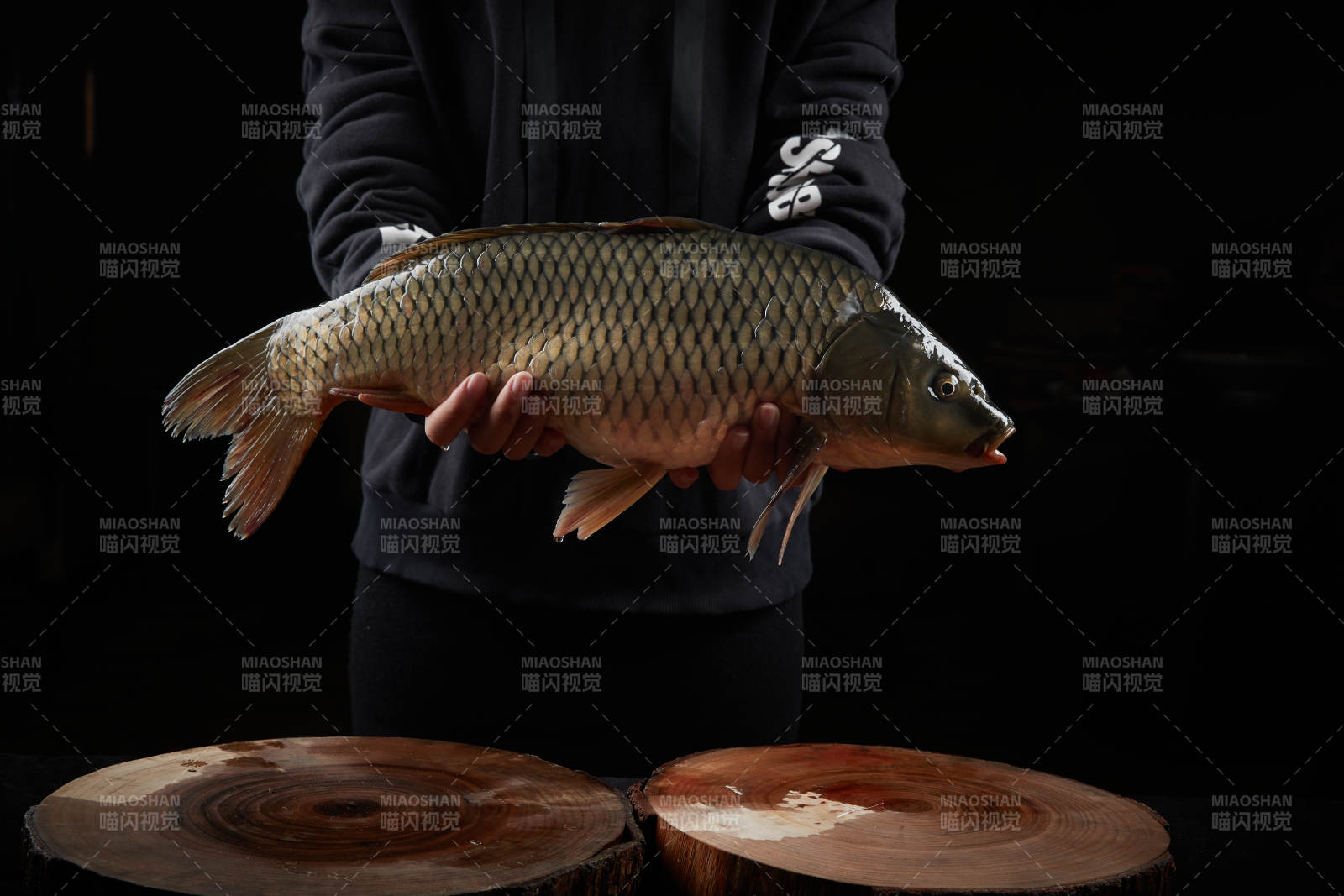 黑色背景被双手捧着的野生大鲤鱼图片