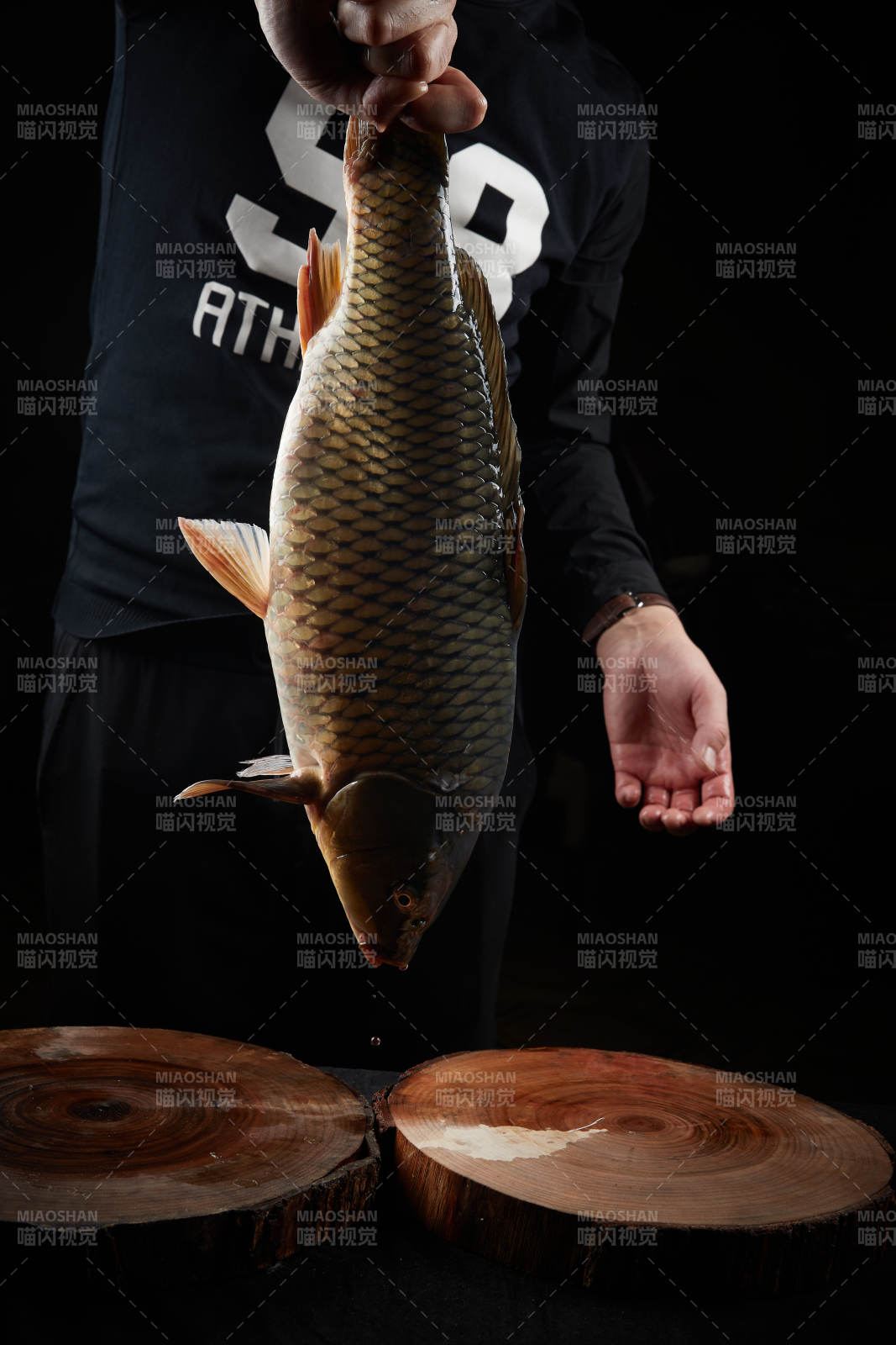 黑色背景被双手捧着的野生大鲤鱼图片