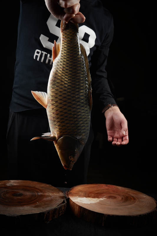 黑色背景被双手捧着的野生大鲤鱼图片