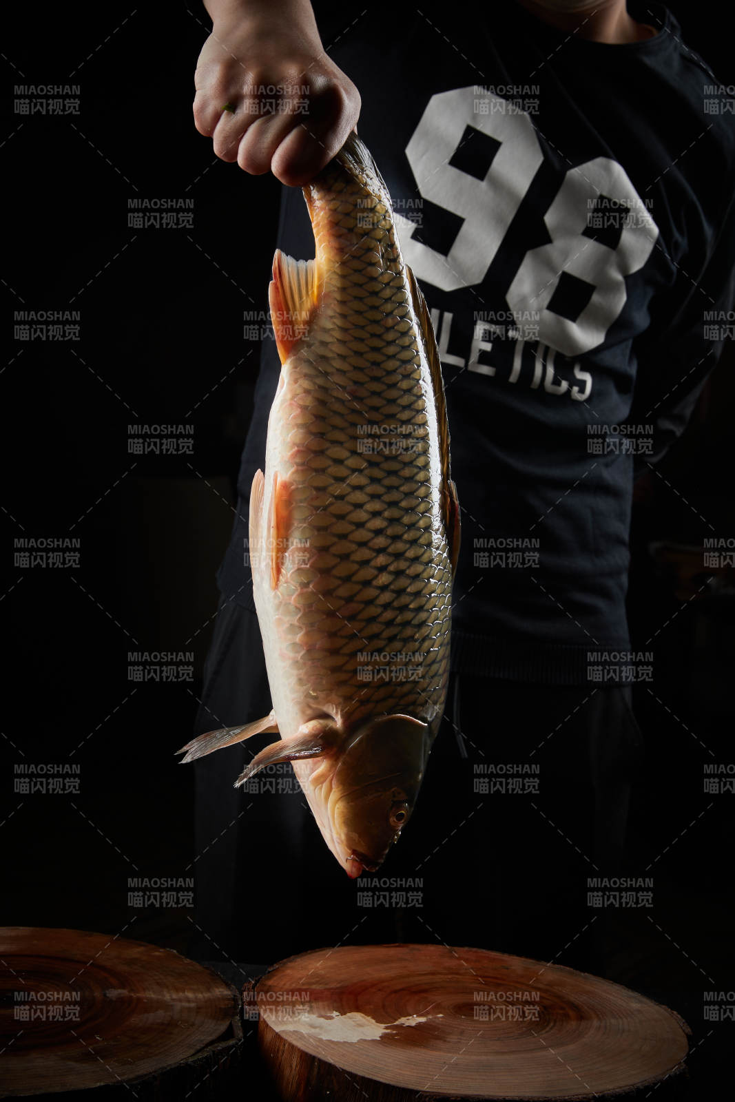 黑色背景被双手捧着的野生大鲤鱼图片