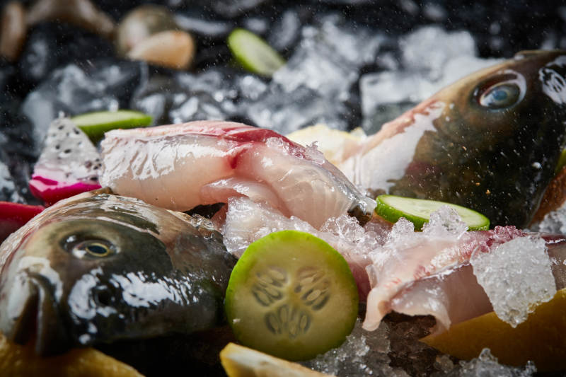 将晶莹白润的鲜鱼片码放在黑色的圆瓷盘上图片