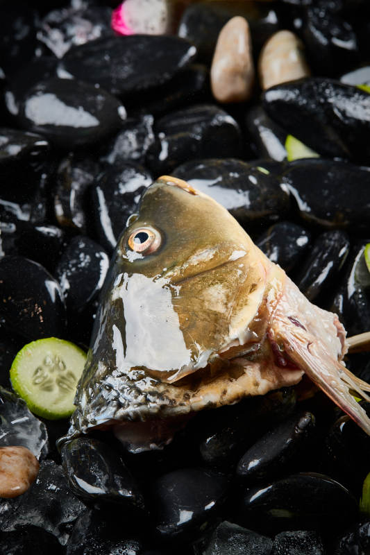 将晶莹白润的鲜鱼片码放在黑色的圆瓷盘上图片