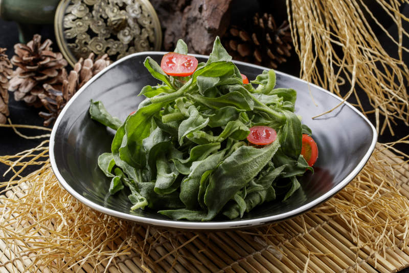 寿司帘上的圆瓷盘装的凉拌穿心莲图片