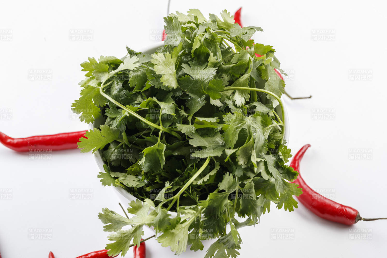 白色背景上的圆瓷桶装的香菜图片
