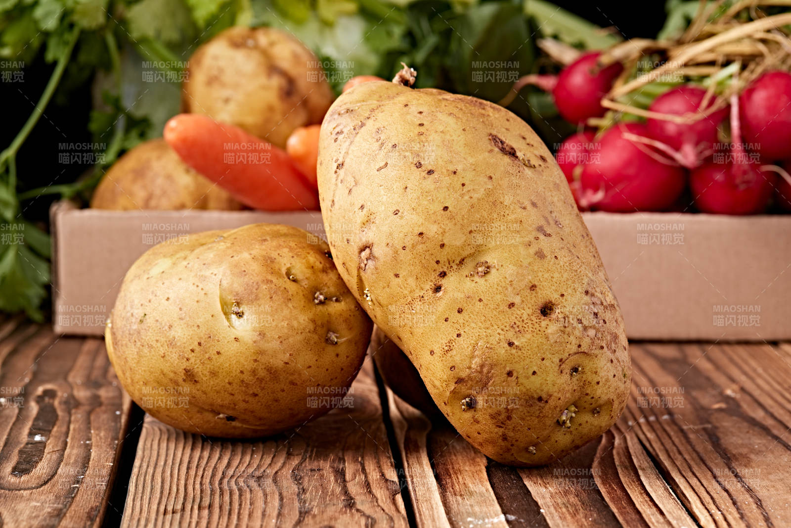 新鲜张家口坝上马铃薯图片