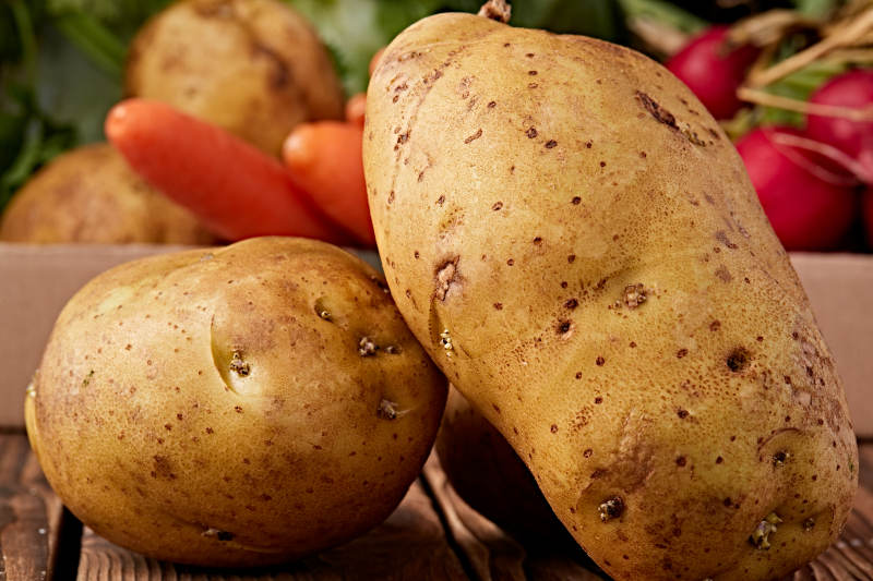 新鲜张家口坝上马铃薯图片