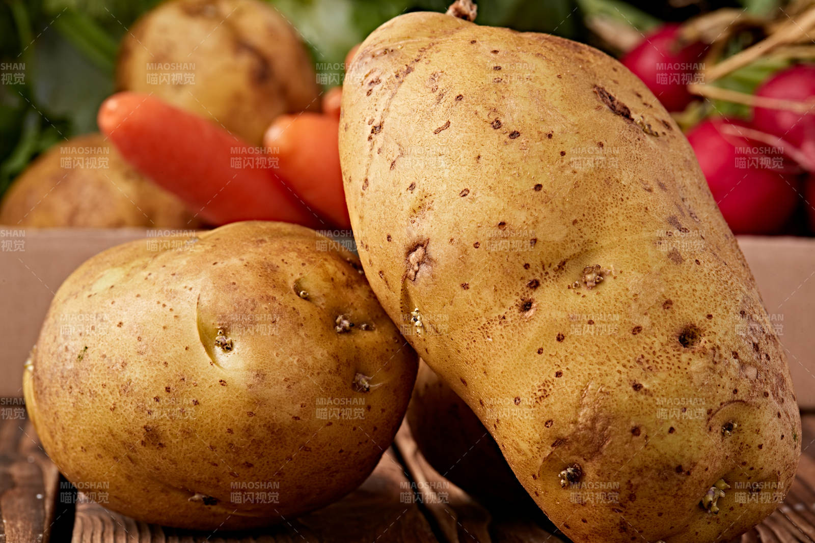 新鲜张家口坝上马铃薯图片