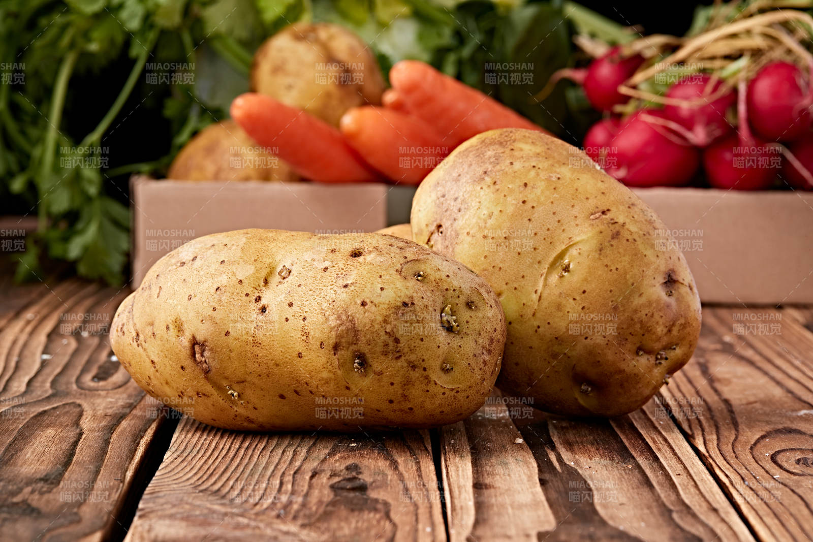 新鲜张家口坝上马铃薯图片