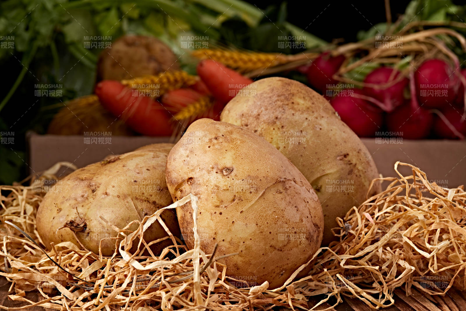 新鲜张家口坝上马铃薯图片