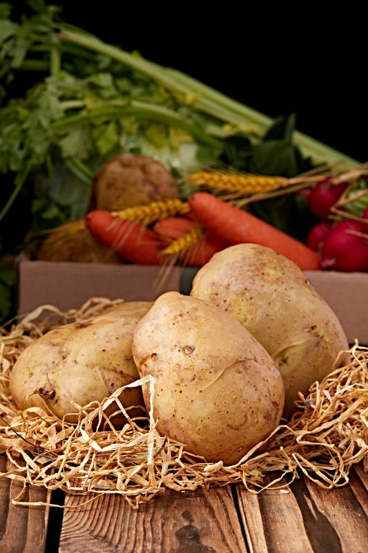 新鲜张家口坝上马铃薯图片