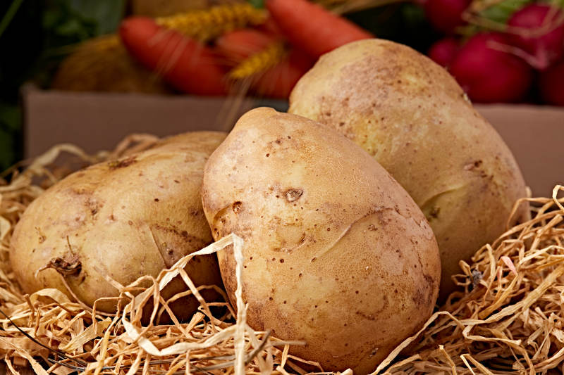 新鲜张家口坝上马铃薯图片