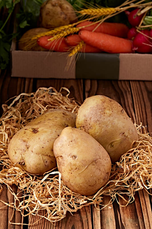 新鲜张家口坝上马铃薯图片