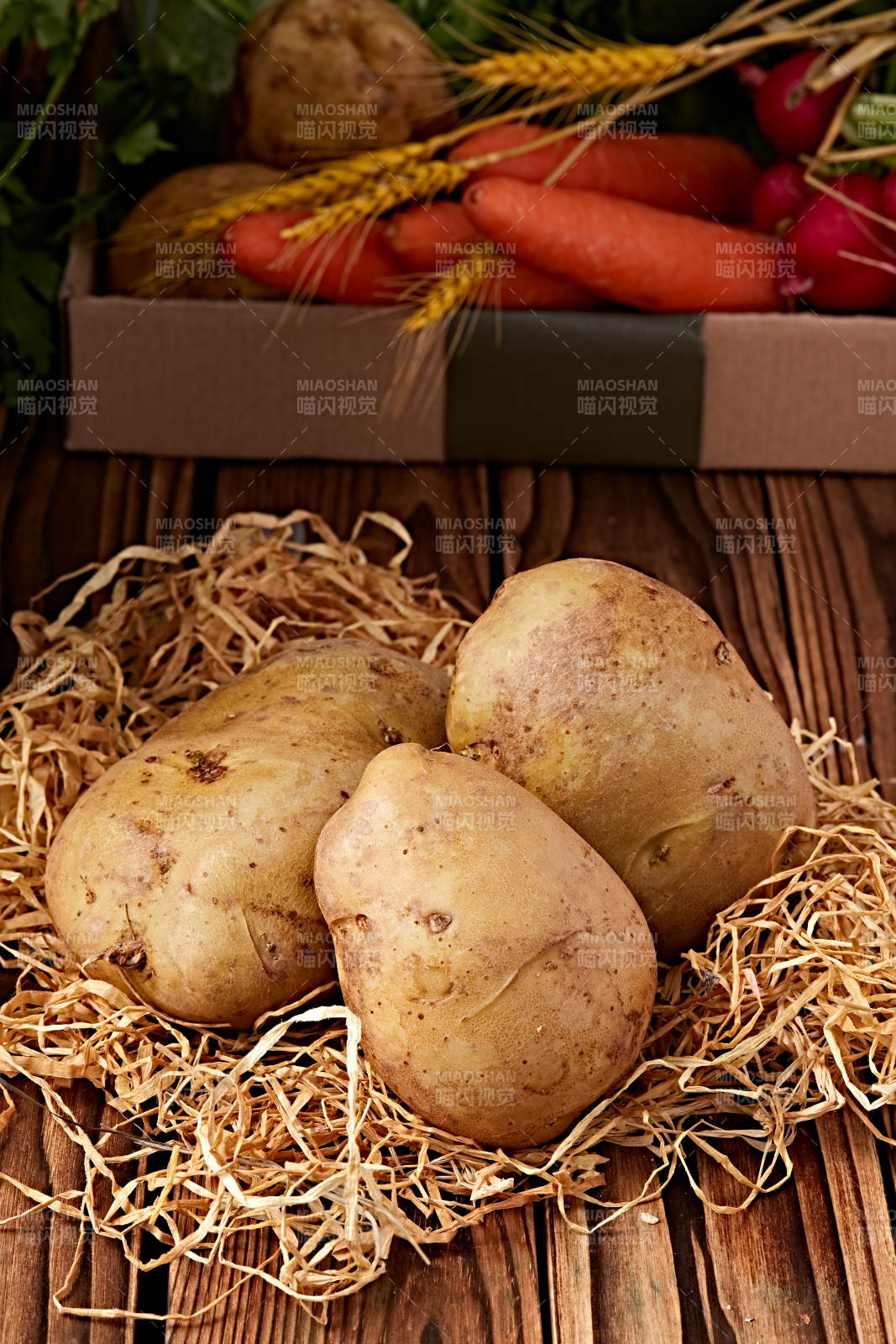 新鲜张家口坝上马铃薯图片