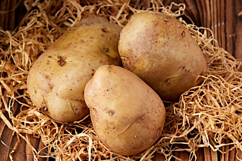 新鲜张家口坝上马铃薯图片