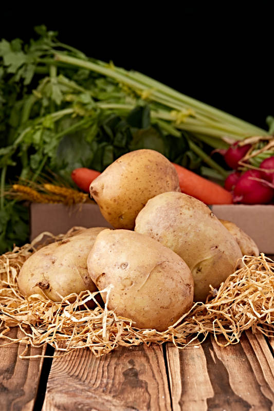 新鲜张家口坝上马铃薯图片