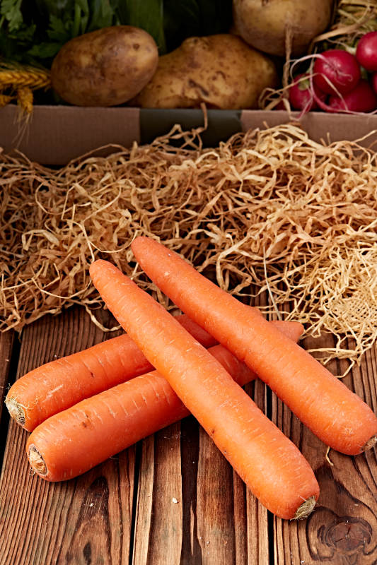 新鲜采摘有机蔬菜胡萝卜图片