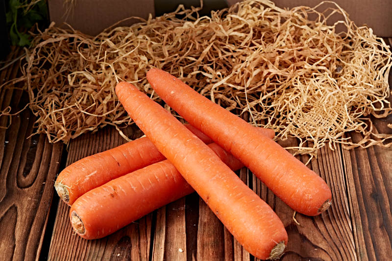 新鲜采摘有机蔬菜胡萝卜图片