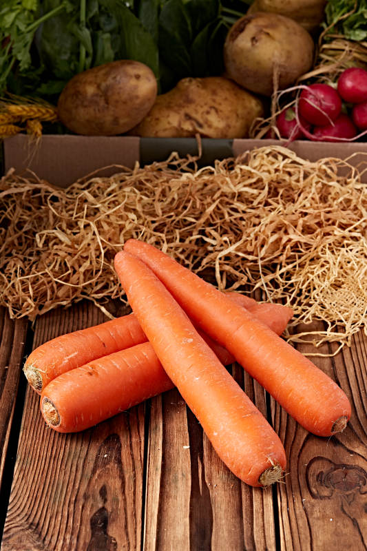 新鲜采摘有机蔬菜胡萝卜图片