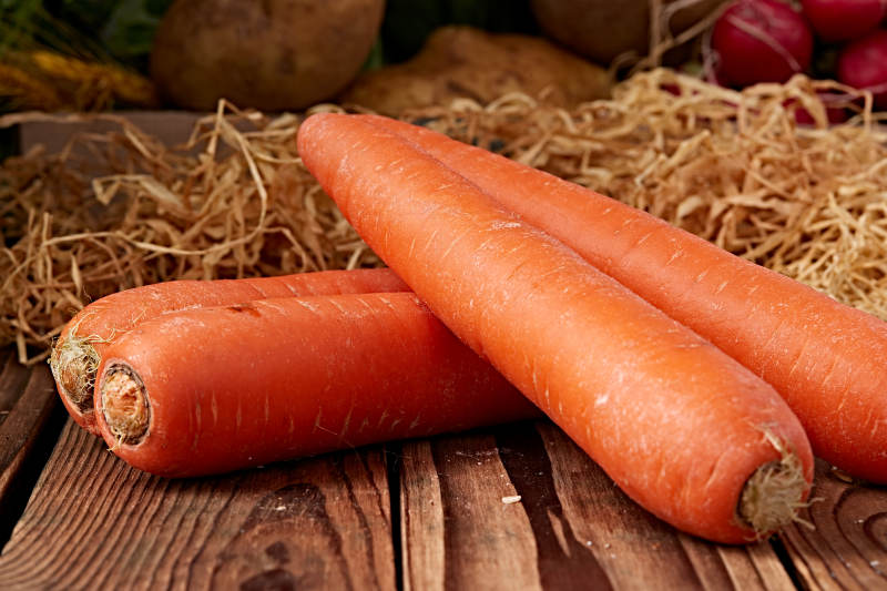 新鲜采摘有机蔬菜胡萝卜图片