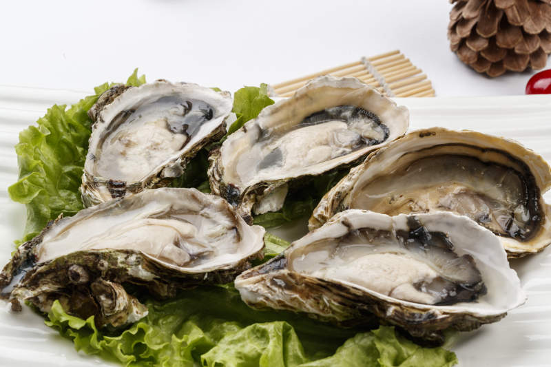 高档火锅料理食材生蚝图片