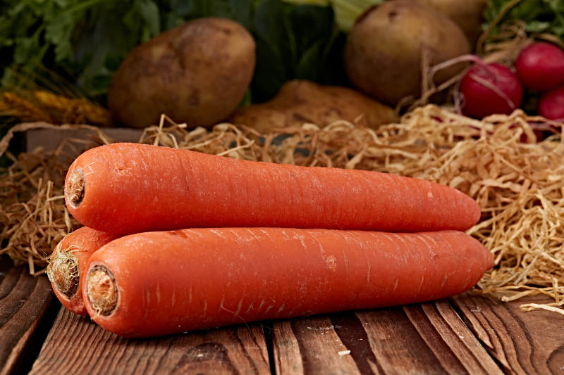 新鲜采摘有机蔬菜胡萝卜图片