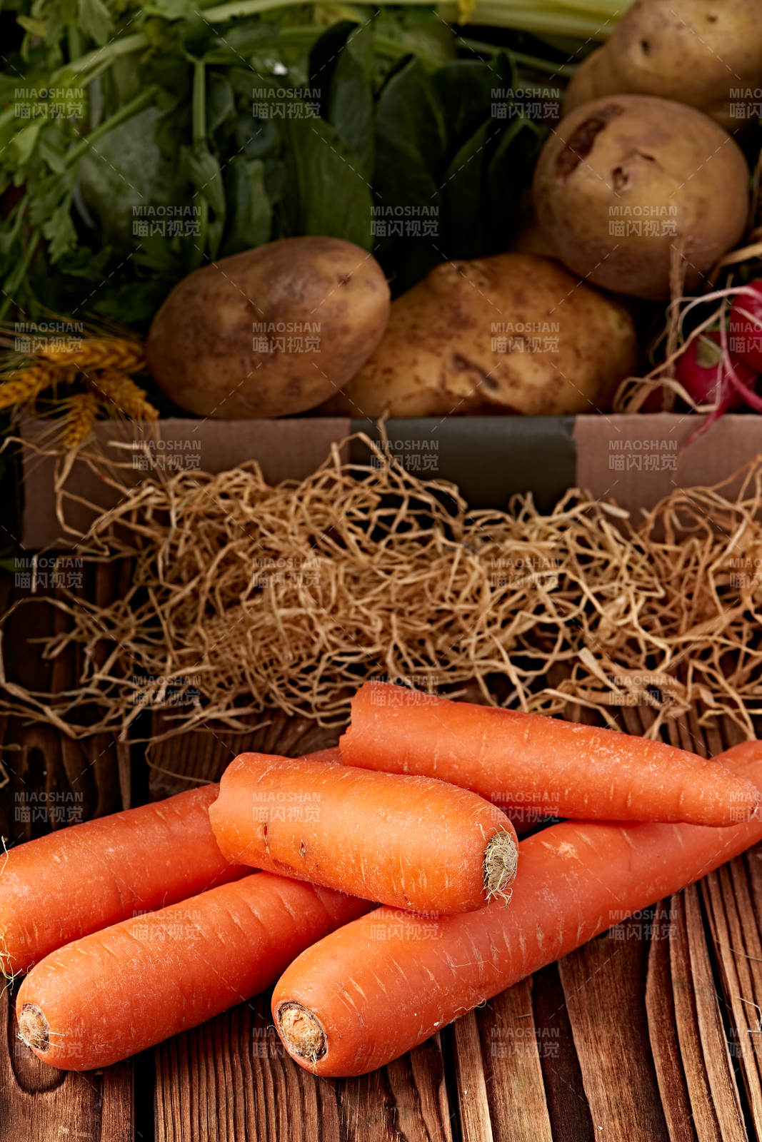 新鲜采摘有机蔬菜胡萝卜图片