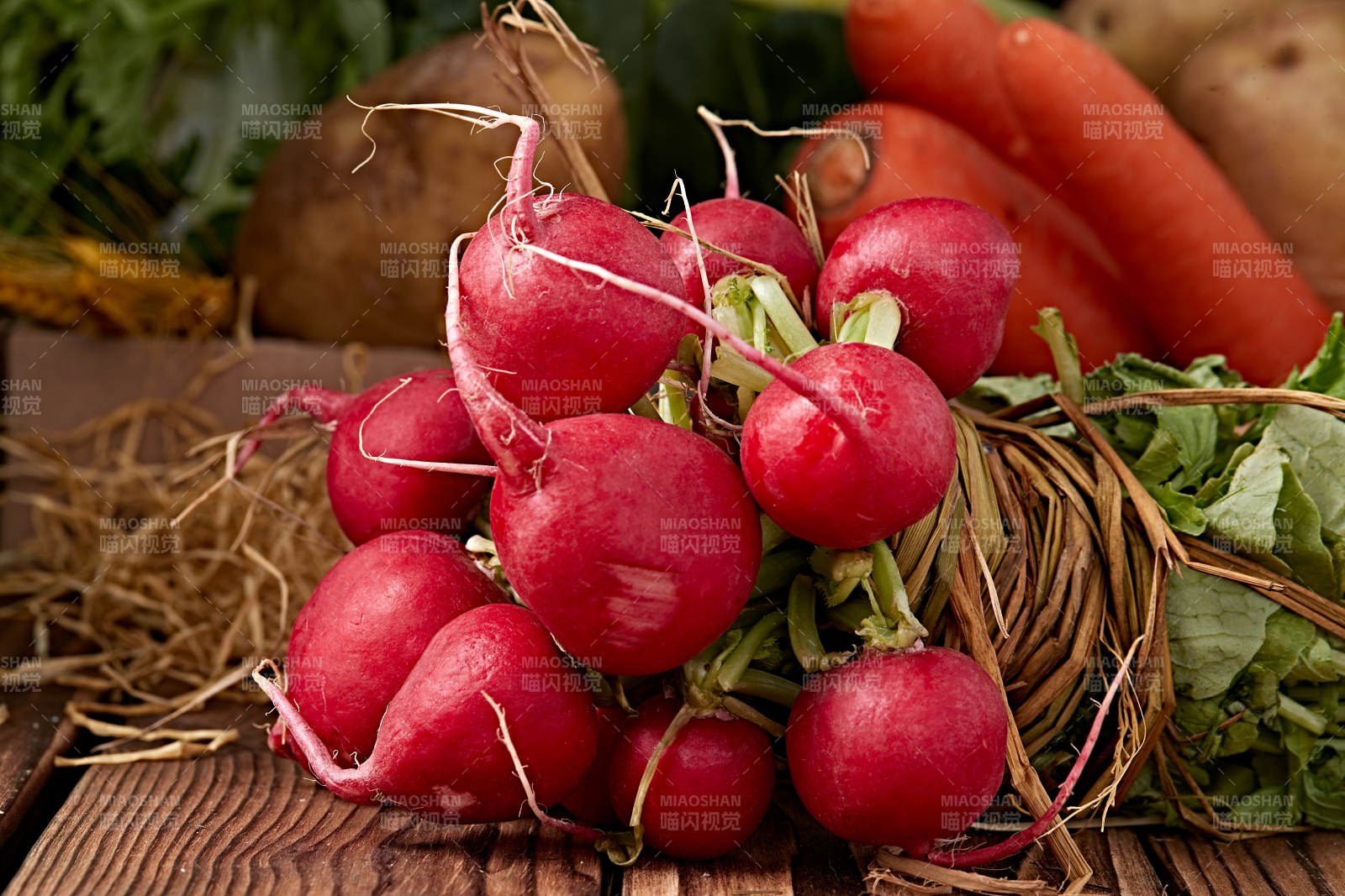 新鲜采摘有机蔬菜樱桃水萝卜图片