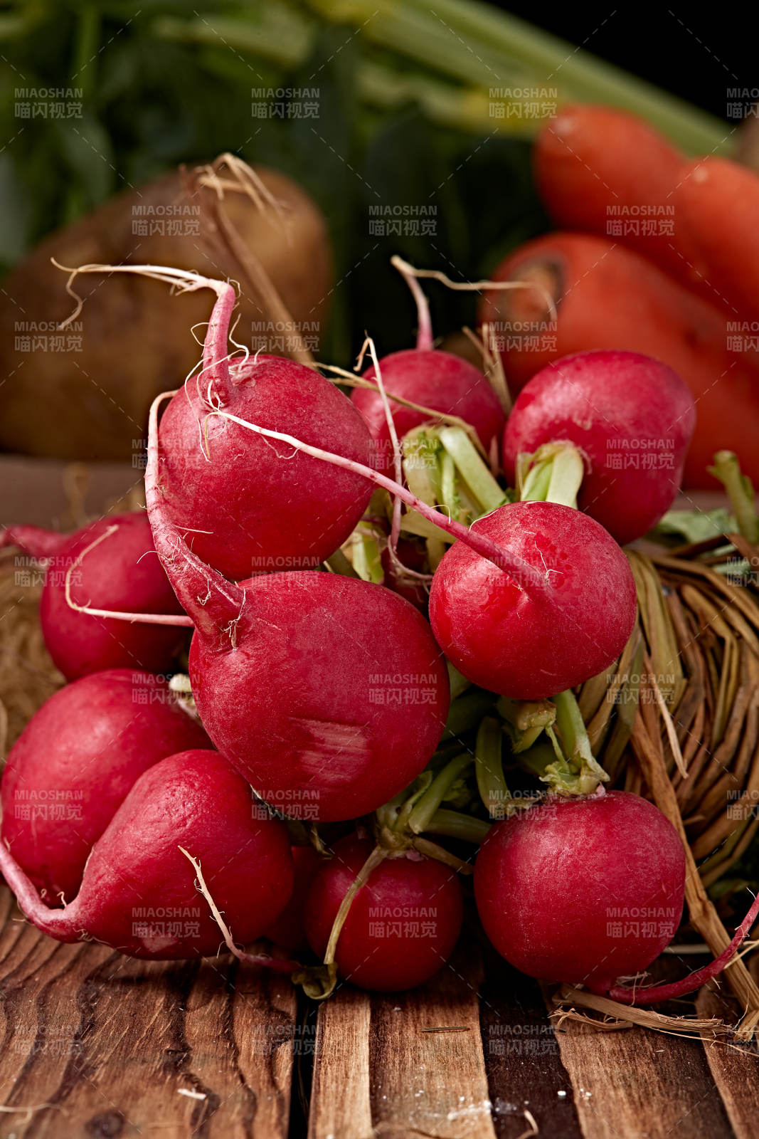 新鲜采摘有机蔬菜樱桃水萝卜图片